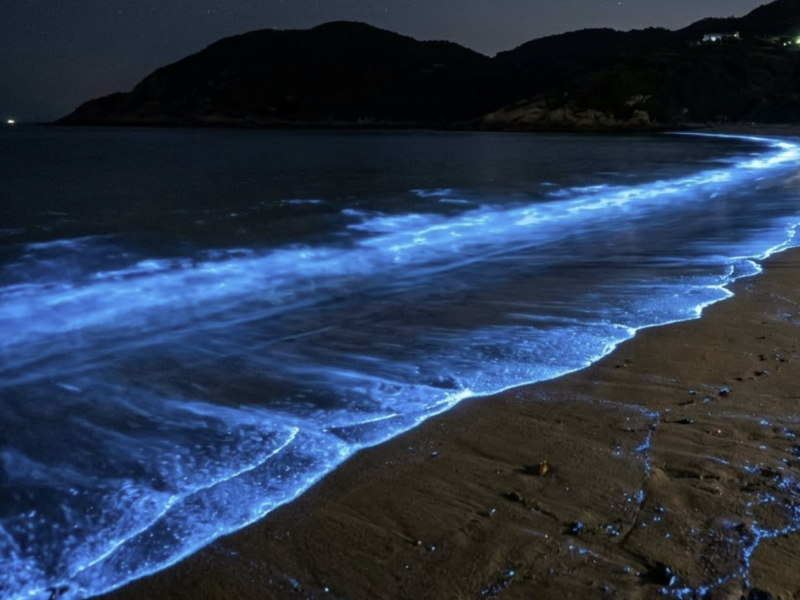 夢幻藍光即將點亮夜空！馬祖「藍眼淚」季暖身起跑